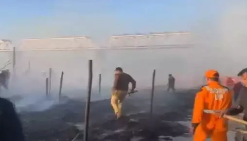 Screenshot_20250119_194810_Chrome