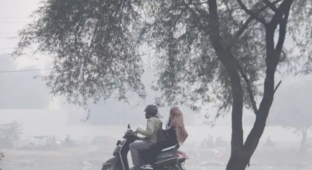 यूपी में पीछा छोड़ने को तैयार नहीं सर्दी, रात में बढ़ी ठिठुरन; 14 से बदलेगा मौसम..